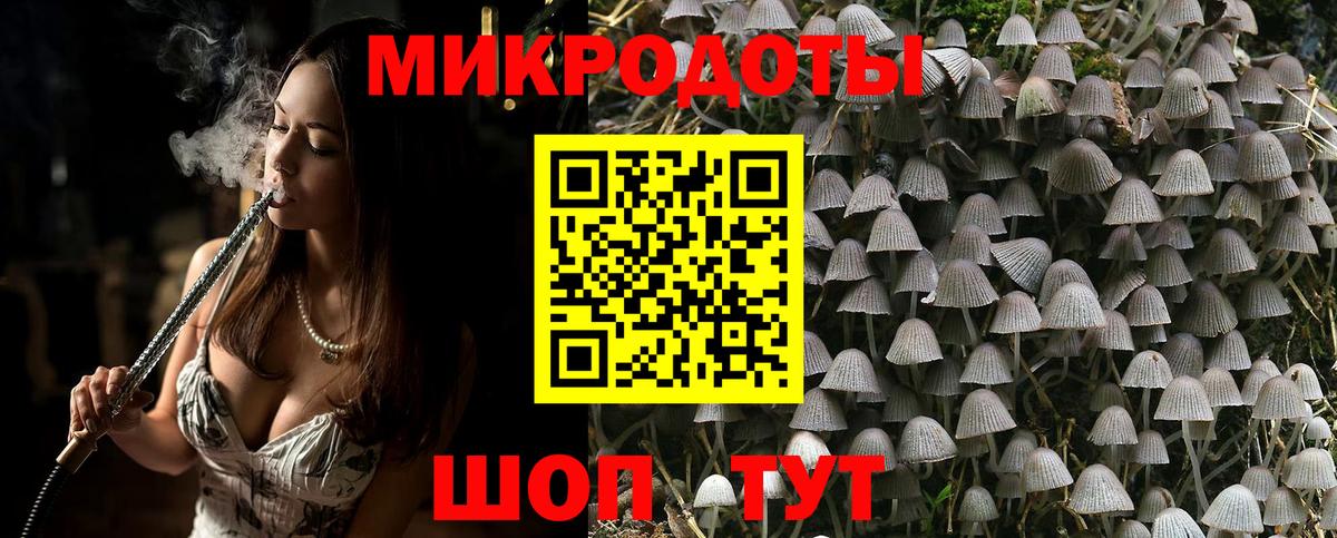 Галлюциногенные грибы MAGIC MUSHROOMS  Псилоцибиновые грибы Psilocybe  купить наркотик  Курган 