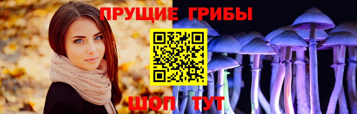 Псилоцибиновые грибы прущие грибы  Вход с VPN  Псилоцибиновые грибы ЛСД  Курган 