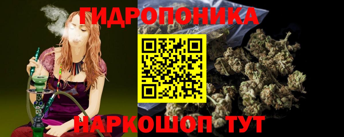 Марихуана сатива  Конопля White Widow  Бошки Шишки White Widow  Курган 